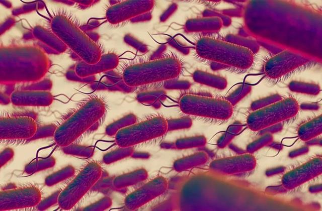 खतरनाक Infection ने ली मासूम बच्ची की जान, 10 साल पहले इसने ली थी 2 लाख लोगों की जान