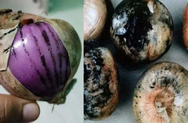 काले धब्बों वाला प्याज फेंके या खाएं? जानिए इस निशान का मतलब और सेहत पर इसका असर