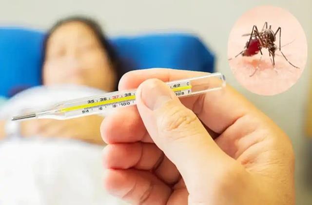 बारिश आने से पहले ही बढ़ गए Dengue के मामले, इस मौसम के बुखार को ना करना Ignore