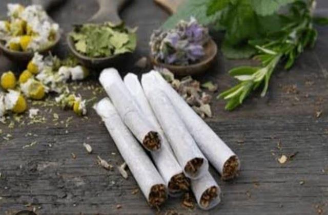 तंबाकू से ज्यादा खतरनाक है तुलसी, लौंग, दालचीनी वाली Cigarette, हर्बल के नाम पर लोगों से हो रहा धोखा