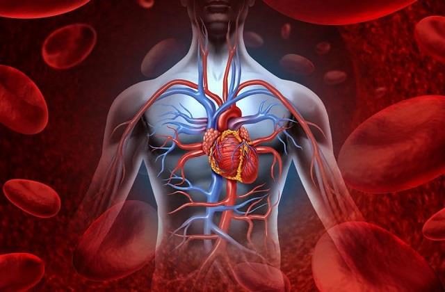 खून गाढ़ा है तो डाइट में शामिल करें ये 6 सुपरफूड्स, बेहतर रहेगा Blood Circulation