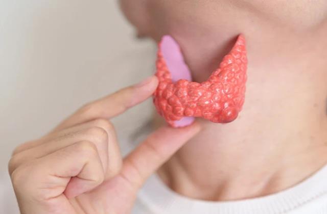 बाल झड़ना भी है Thyroid की बड़ी चेतावनी, हार्ट अटैक का भी कारण बन सकती है ये बीमारी