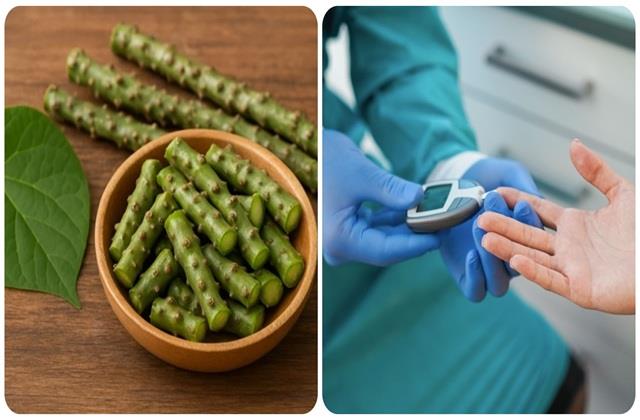 क्या सच में Diabetes को जड़ से खत्म कर देता है गिलोय? इस  जड़ी-बूटी की पूरी सच्चाई नहीं जानते लोग