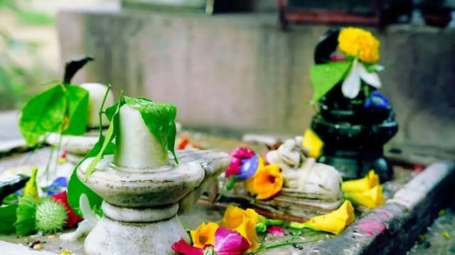 सावन शुरू होने से पहले घर ले आएं ये 11 शुभ चीजें, मान्यता है कि बनी रहती है भोलेनाथ की कृपा