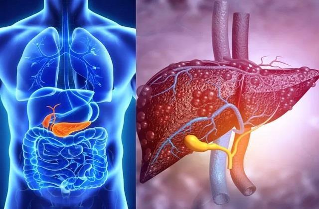 Liver के लिए वरदान हैं ये 4 सब्जियां, खा लो Fatty Liver से आराम, हो जाएगा पूरा Detox