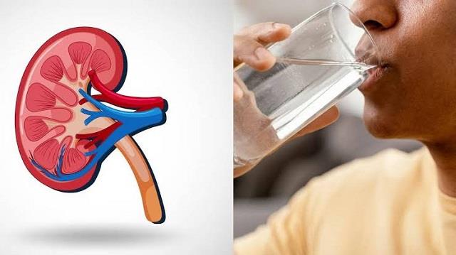 ज्यादा पानी पीना Kidney को कैसे कर देता है खराब? जानकर हैरान रह जाएंगे आप
