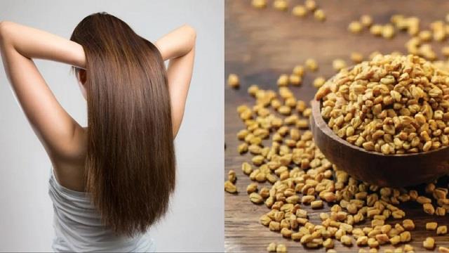 Hair Fall Tips: बालों के लिए फायदेमंद  मेथी, जानें हेयर फॉल में कैसे करें इस्तेमाल