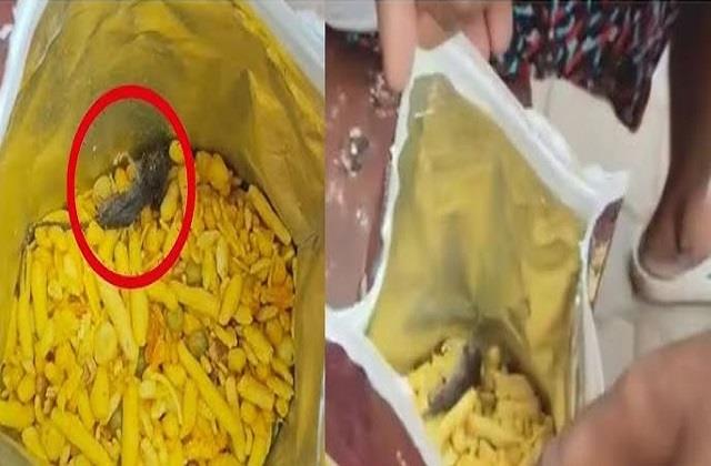 खाने में छिपकली मिलने के बाद अब सीलबंद नमकीन के पैकेट में मिला मरा हुआ चूहे का बच्चा, Video Viral