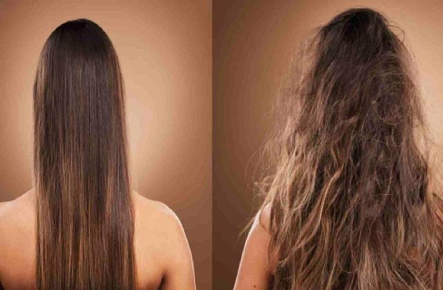 घर पर करें Hair Botox जैसा ट्रीटमेंट, इन 5 चीजों से बाल बनेंगे सॉफ्ट और शाइनी