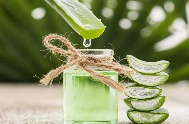 पेट से लेकर चेहरे को फायदे ही फायदे देता है Aloe Vera Juice, 30 दिन लगातार पी कर तो देखो