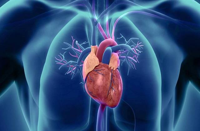 क्या सच में Ayurveda की ये जादुई चीज Heart Attack और खून को गाढ़ा नहीं होने देती?