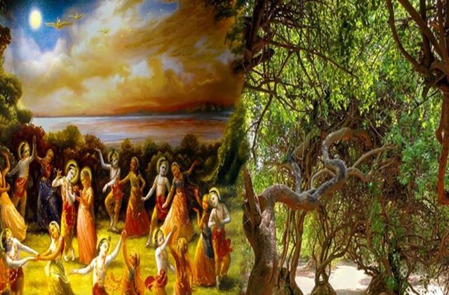 निधिवन में रात को होती है राधा-कृष्ण की रासलीला, इसे देखने वाला हो जाता है अंधा !