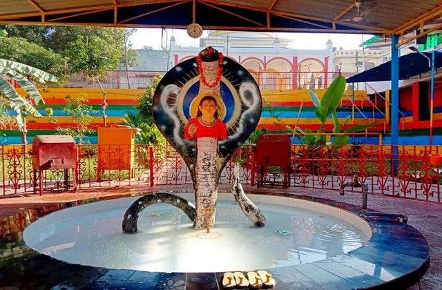 जालंधर के सोढल मेले की कहानी है बेहद दिलचस्प, जानें 300 साल पुराने मंदिर का इतिहास