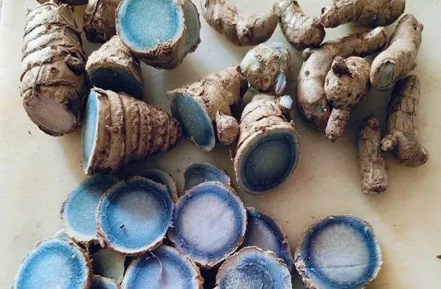 आम हल्दी से अलग दिखती है ये नीली हल्दी, जानें सेहत के लिए क्यों है इतनी खास