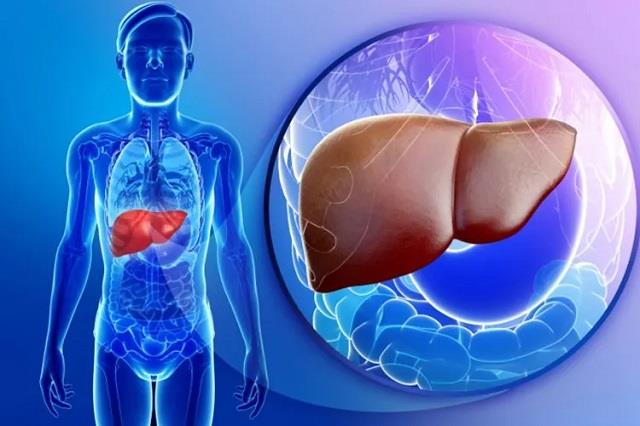 Liver खराब है तो इन चीजों से बना लें दूरी, डॉक्टर ने बताया क्या नहीं खाना चाहिए