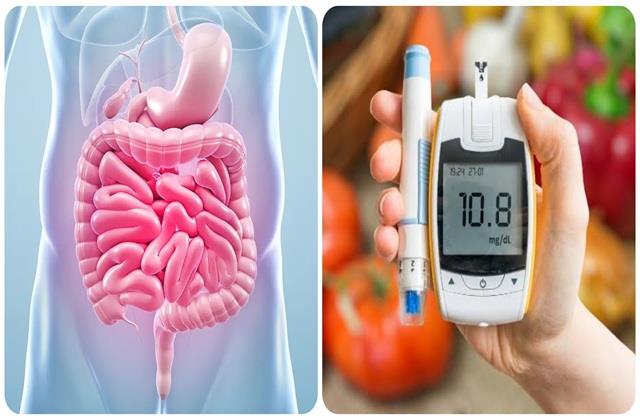 शुगर  कंट्रोल का राज छुपा है आपके पेट में! हर Diabetic को पता होनी चाहिए ये बात