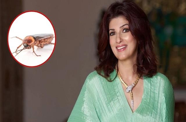 कॉकरोच भगाने का ट्विंकल खन्ना ने बताया देसी जुगाड़, तेज पत्ता-लौंग से ऐसे रखें किचन को साफ