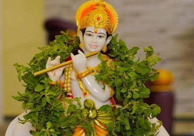 जन्माष्टमी पर कृष्ण की कृपा पाने का सुनहरा मौका, खुशहाल शादीशुदा जीवन के लिए तुलसी का ये उपाय