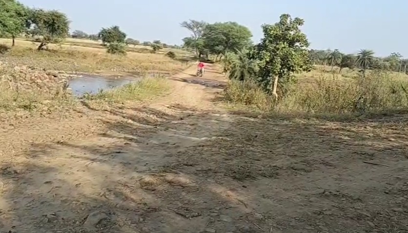 PunjabKesari, Sivni, Road Scam, MP Corruption, PWD Scam, Madhya Pradesh News, Infrastructure Scam, Road Construction Fraud, Public Money, Government Corruption, Accountability 