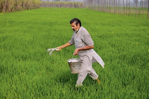 PunjabKesari
