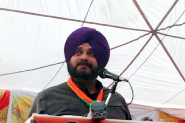 PunjabKesari, Navjot Singh Sidhu Image