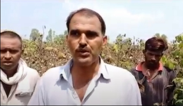 PunjabKesari, haryana