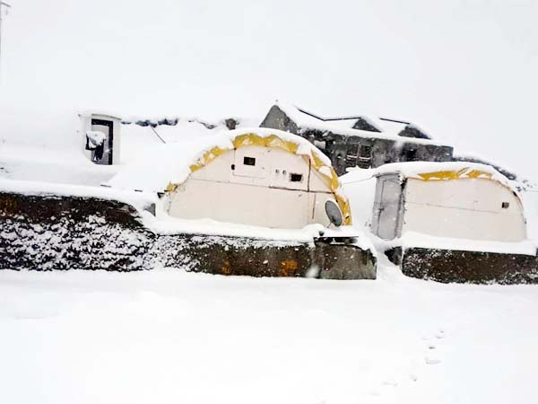 PunjabKesari, Snowfall Image