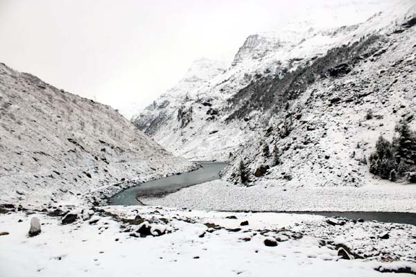 PunjabKesari, Snowfall Image