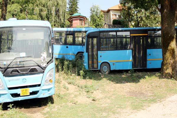 PunjabKesari, Jnnurm Bus Image